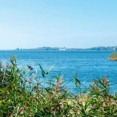 Dhh Przystan Nr 4 * Dziwnowek